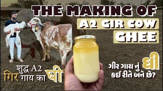 The Making of A2 Gir Cow Ghee😊😋