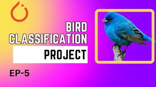 Ep - 5 | Writing the train function | Bird Classification project in Deep Learning using PyTorch