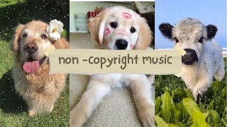 no copyright music | royalty free youtube music /music-lukrembo      #music #noncopyrighted