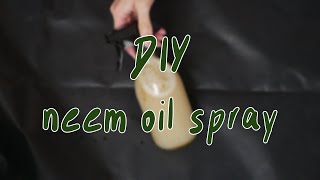 HOW TO MAKE NEEM OIL SPRAY | houseplant pest control diy