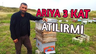 Bal akımında 3 kat atılır mı | Bölme arılara şerbet verilmeli mi ? | ne fayda