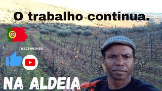 Como é o trabalho de podar as videiras? 🇵🇹 #portugal #europa #trabalho #aldeia #vida