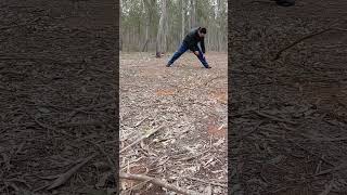 training in the forest