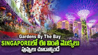 GARDENS BY THE BAY Singapore | What is Inside in Our Gardens By The Bay | SumanTV Singapore