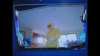 JD2014 Just Dance TV - Troublemaker w/ Pikachu