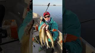 Día dificil, pero siempre lindo el pescado de la laguna La Barrancosa, buenos Pejerreyes #fishing