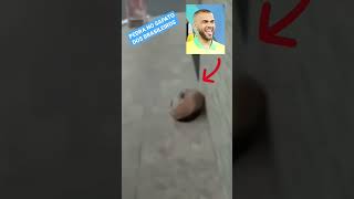 DANIEL ALVES NA SELEÇÃO BRASILEIRA