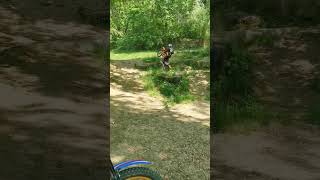 Trial skills #moto #bike #enduro #ktm #foryou #reels #short #fun #trial #trail #wheelie #skills #go