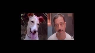 DOG ah thirupi pota GOD Varuthunga