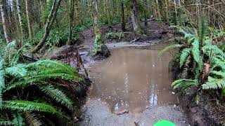 Playing In The Mud - Kawasaki KLX230