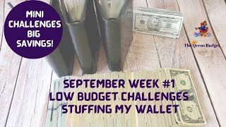 MINI CHALLENGES BIG SAVINGS  ||  CASH STUFFING MY WALLET  ||  PLUS MORE SAVING CHALLENGES