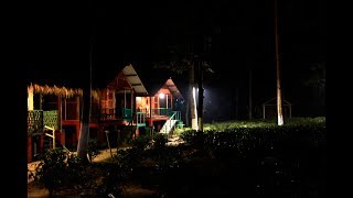 Nature Hunt ECO Camp || Resort in  Kaziranga National Park || Assam Tourism