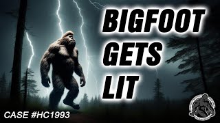 Kentucky Bigfoot spotted in Bardstown #bigfoot #shorts #cryptozoology #scary #shortvideo #kentucky