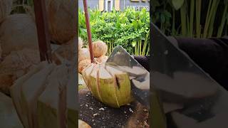 Nice Skills Peeling Coconut Fruit. #coconut #fruit #peeling #shorts #cuttingskills