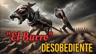 El BURRO DESOBEDIENTE: UNA HISTORIA IMPACTANTE.