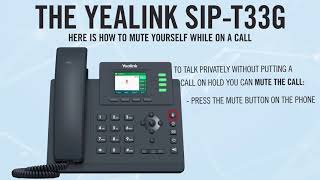 T33G Basics: How to Mute a Call