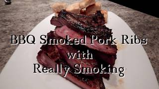 Smoked BBQ Ribs with Really Smoking