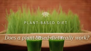 Episode 04: A Plant-Based Diet Success Story