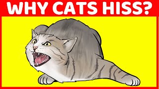 Why Cats Hiss (And 9 Other Cat Sounds Finally Explained)