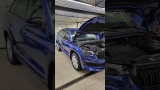 Skoda KODIAQ адаптивный круиз контроль