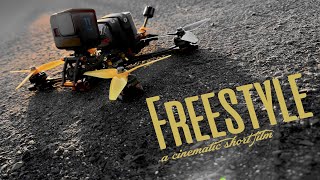 FPV Freestyle | a cinematic short film