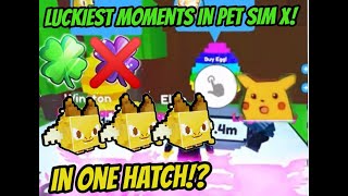 Luckiest moments in pet simulator x!