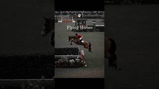 Flying Horses 🚀#bestoftheday #horsesofinstagram #trending #shorts #shortvideo #short #shortsfeed