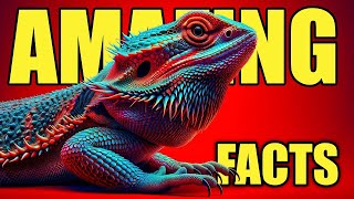 Bearded Dragon as a Pet? 10 Facts about Bearded Dragons!