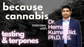 testing & terpenes with Dr. Hemant Kumar Bid - because cannabis episode #9