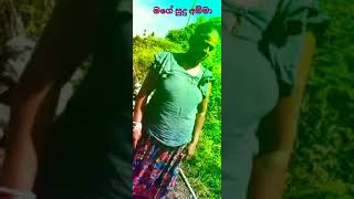 මගේ සුදු අම්මා