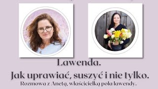 Wszystko o lawendzie.