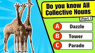 Learn English collective nouns for animals 🐦 collective nouns quiz for kids 🦒 guess the animal quiz