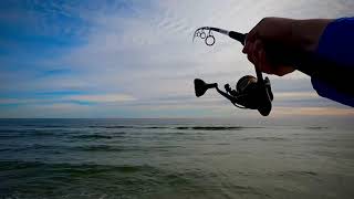 Catch of a lifetime on the beach