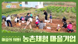 [구석구석 마을 이야기④] 마을의 희망! 농촌체험 마을기업