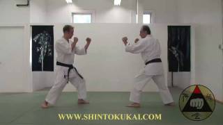 Okinawa Shorin-ryu Karate: Parent Style of Shotokan (clip 9)