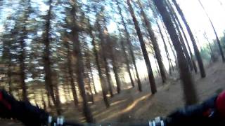 Surrey Hills pt 4. Pine needle descent.