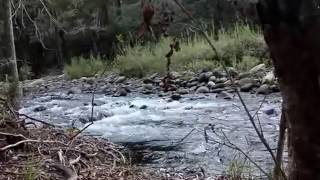 Moments in Nature Blyde River Part 3 South Africa