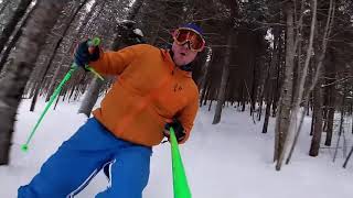 Clean backcountry forest skiing 2020