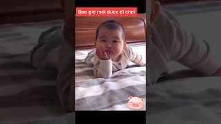 kênh này toàn bánh bao | Rose Baby Việt Nam #shorts