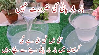 100% Free Organic Fertilizer for All Plants | Podon ko Sokhne se Bachae | Mitti mein Nami Barkarar