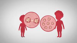 Coronavirus och COVID19