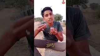 उल्लू 🤣🤣 || ullu 🤣🤣 #desichoramasti #hindicomedyvideo #shorts  kailash tejkran ki comady