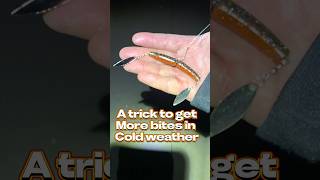 A trick to get more bites and cold weather #Fishing,DowntownDenver #Fishing,Colorado #BassFishing￼