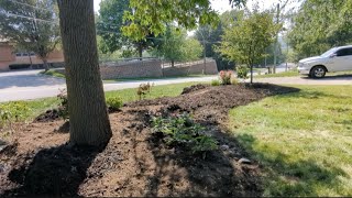 Large Front yard flower bed done!! 🌸🌺