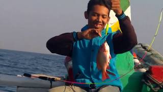 Mancing Paiton Probolinggo Spot Rumpon Kakap Merah