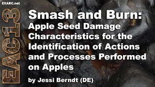 Smash and Burn: Apple Seed Damage Characteristics