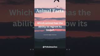 Unveiling the Wonders Incredible Animal Facts Revealed Engaging Wildlife Trivia 63