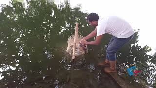 Fishing at Dhanmondi Lake | Angling Detail