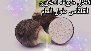 طريقه تخزين القلقاس لمده عام