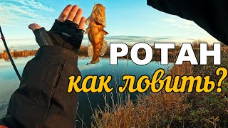 Ловлю РОТАНА ранним утром. Секреты и советы. Попробовал Wacky #микроджиг #рыбалка #wacky